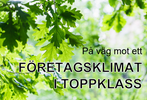 Företagsklimat i toppklass