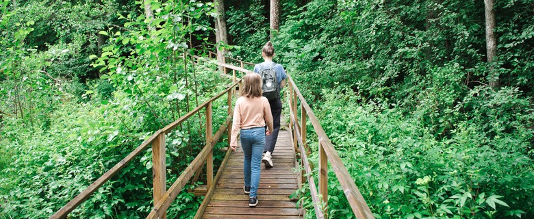 Två personer promenerar i skogen.