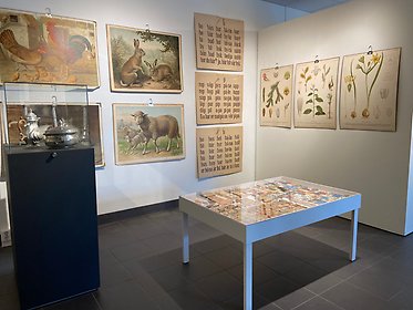 Bild från utställningen Vi som samlar, här ses bland annat skolplanscher och tennföremål från museets samlingar